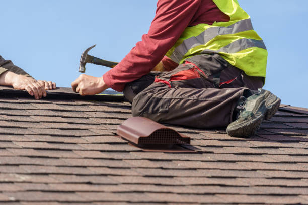 Best Roof Waterproofing Services  in Dillonvale, OH